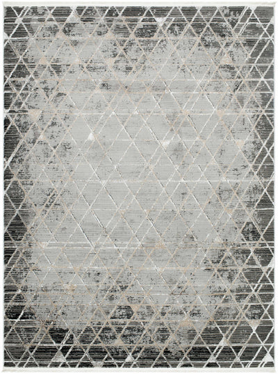 Luol Gray Area Rug