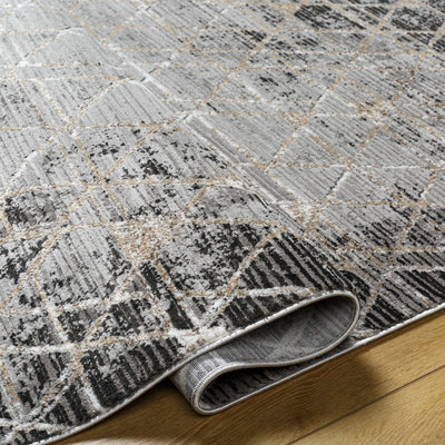 Luol Gray Area Rug