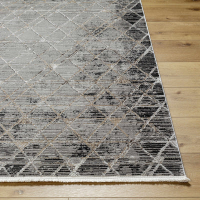 Luol Gray Area Rug