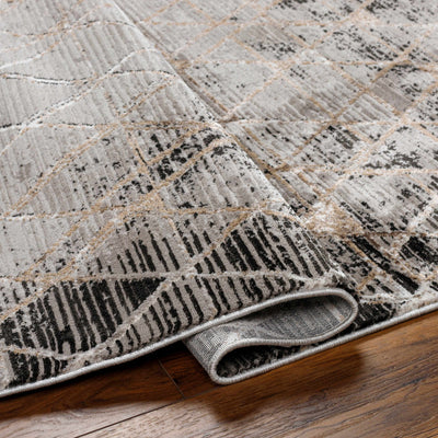 Luol Gray Area Rug