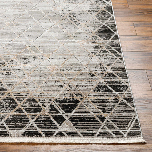 Luol Gray Area Rug