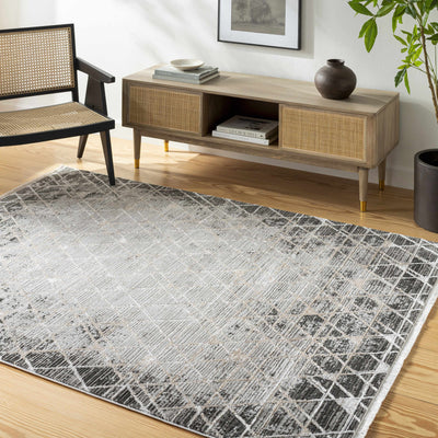 Luol Gray Area Rug