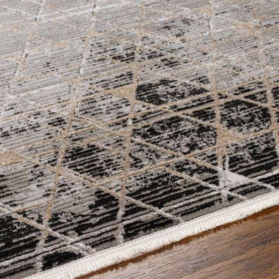 Luol Gray Area Rug