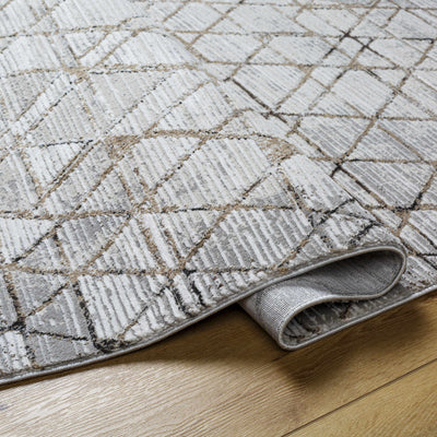 Luol Light Gray Area Rug