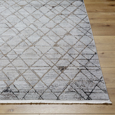 Luol Light Gray Area Rug