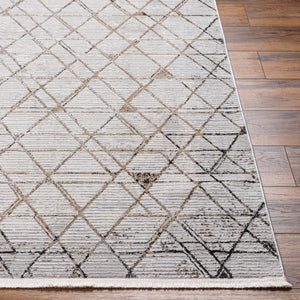 Luol Light Gray Area Rug