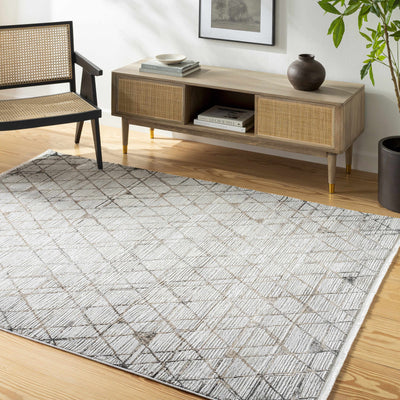 Luol Light Gray Area Rug