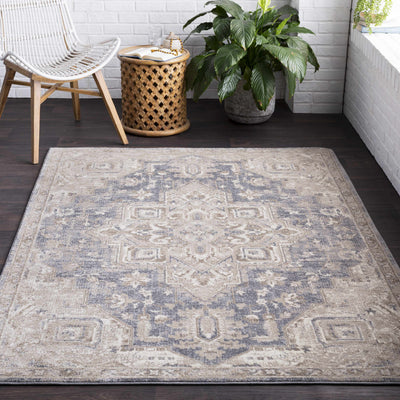 Sofia Area Rug - Clearance