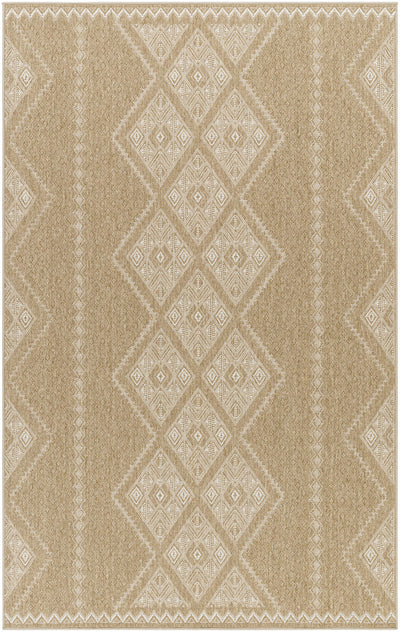 Olina Area Rug