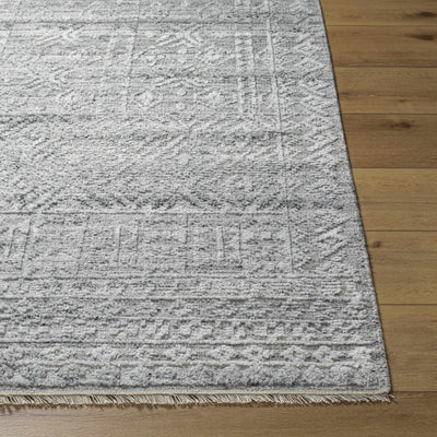 Gray Kazi Area Rug