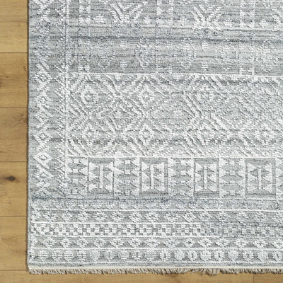 Gray Kazi Area Rug