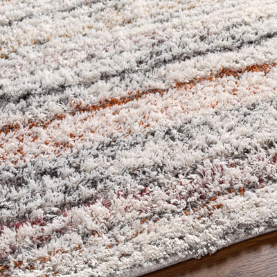 Donda Area Rug - Clearance