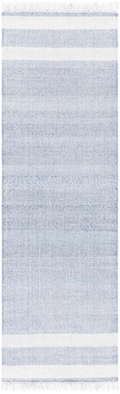 Loic Silver Blue Area Rug