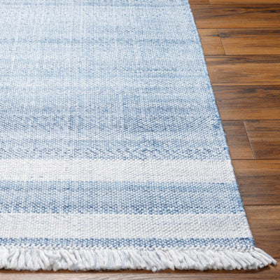 Loic Silver Blue Area Rug