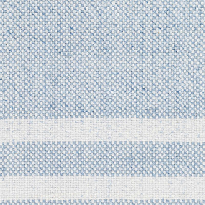 Loic Silver Blue Area Rug