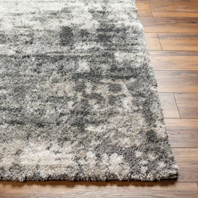 Skah Area Rug