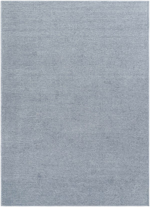 Isako Blue & Gray Solid Washable Area Rug