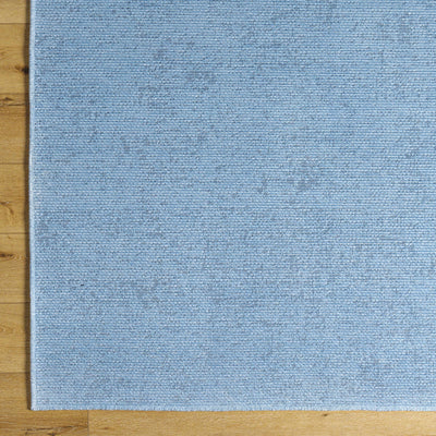 Isako Blue Solid Washable Area Rug