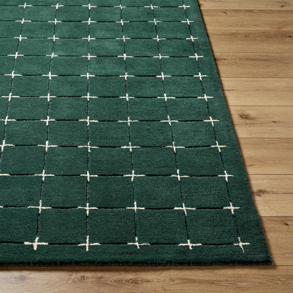 Sanvi Green Wool Area Rug