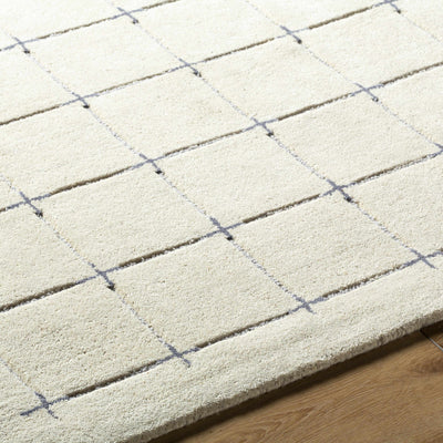 Sanvi Area Rug