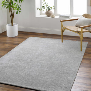 Noham Area Rug