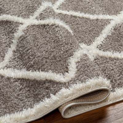 Alkas Area Rug - Clearance