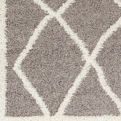 Alkas Area Rug - Clearance