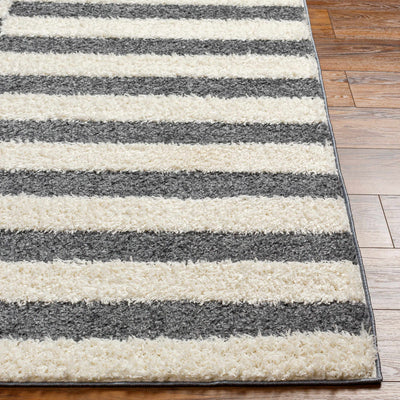 Altan Gray Area Rug - Clearance