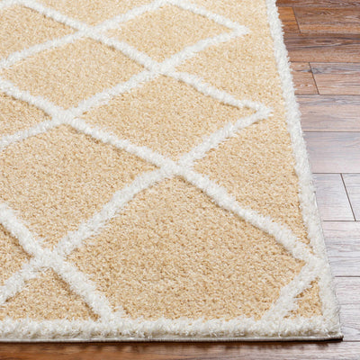 Becca Area Rug - Clearance