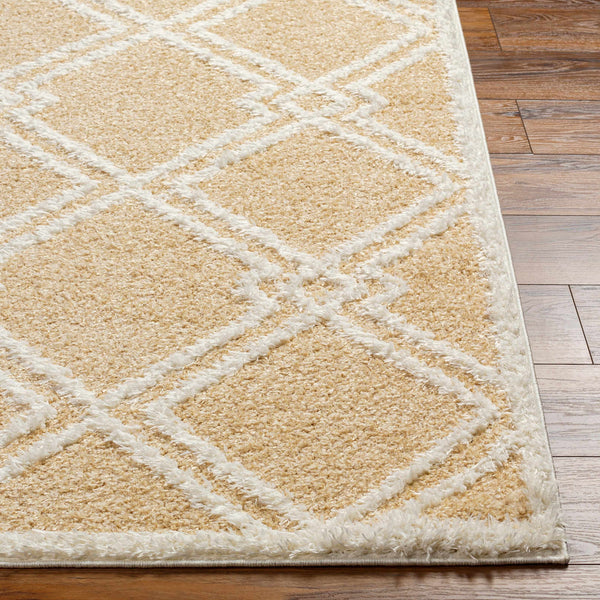 Elyse Beige Area Rug - Clearance