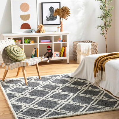 Elyse Gray Area Rug - Clearance