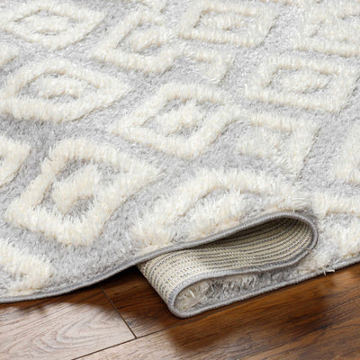 Felix Beige-Gray Plush Area Carpet