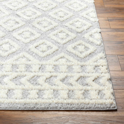 Felix Beige-Gray Plush Area Carpet