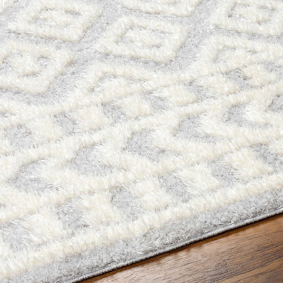 Felix Beige-Gray Plush Area Carpet