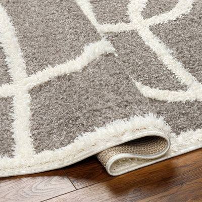 Gilon Taupe Plush Area Rug