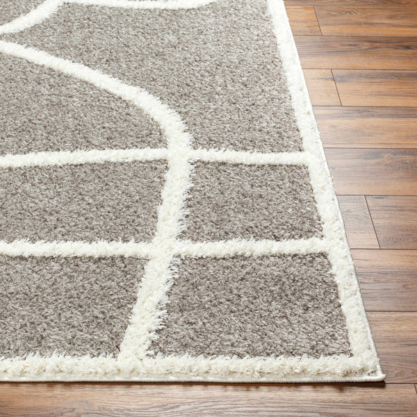 Gilon Taupe Plush Area Rug