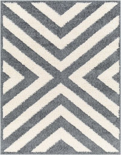 Seda Gray Area Rug - Clearance