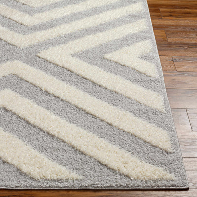 Seda Light Gray Area Rug - Clearance