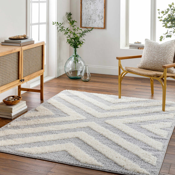 Seda Light Gray Area Rug - Clearance