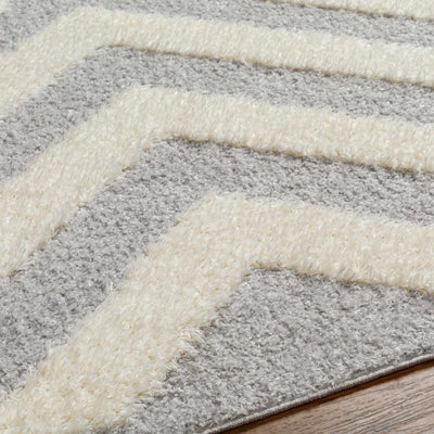 Seda Light Gray Area Rug - Clearance