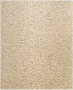 Nitsa Tan Hand Knotted Area Rug