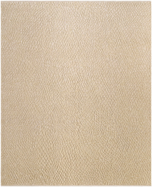 Nitsa Tan Hand Knotted Area Rug