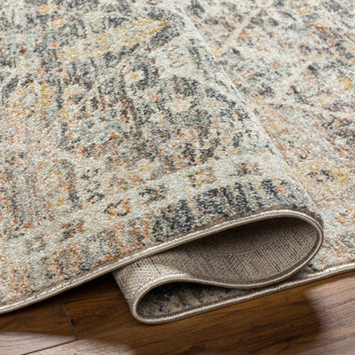 Issay Distressed Area Rug