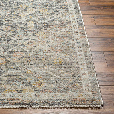 Issay Distressed Area Rug