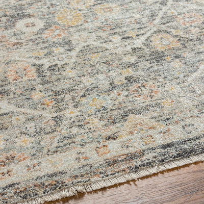 Issay Distressed Area Rug