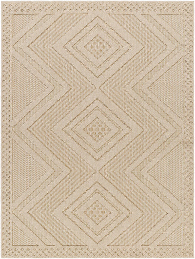 Aimee Area Rug