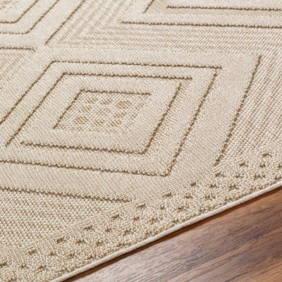 Aimee Area Rug