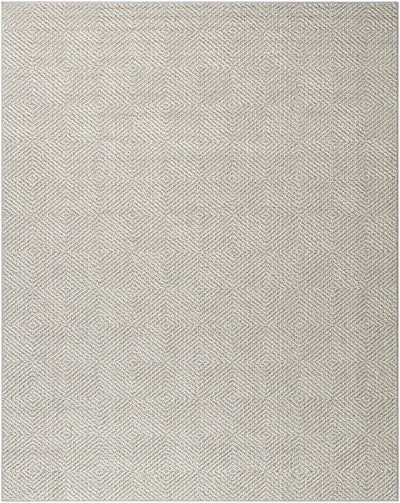 Broox Gray Area Rug