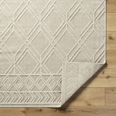 Hoang Area Rug