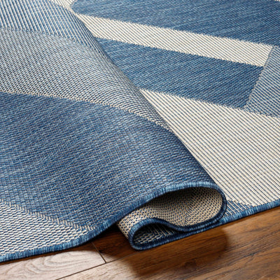 Adwen Blue Area Rug